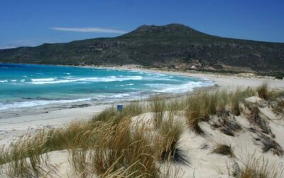 Οκτώ είναι οι Περιοχές Natura 2000 στη Λακωνία – Γνωρίζεις που βρίσκονται!