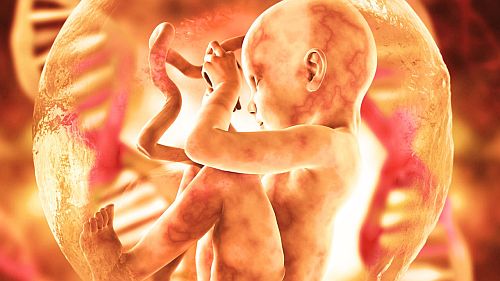 Ισπανία: Ποινικοποιήθηκε ο ακτιβισμός κατά των αμβλώσεων