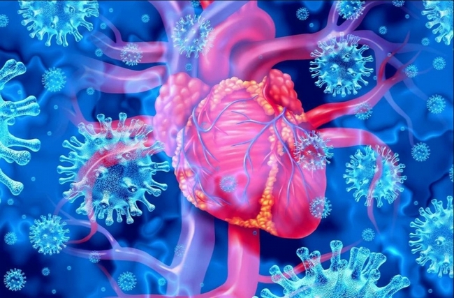 Έρευνα – σοκ επιβεβαιώνει πως το εμβόλιο Pfizer αυξάνει τρεις φορές τον κίνδυνο μυοκαρδίτιδας, λεμφαδενοπάθειας, σκωληκοειδίτιδας