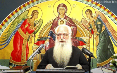 Οι ασθένεις λόγω των αμαρτιών, π. Θεόδωρος Ζήσης