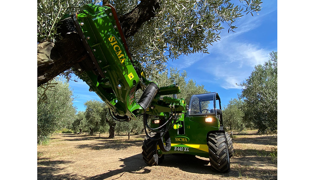 200 κιλά ελιές μέσα σε 2 λεπτά τινάζει το SICMA srl – B440 XL