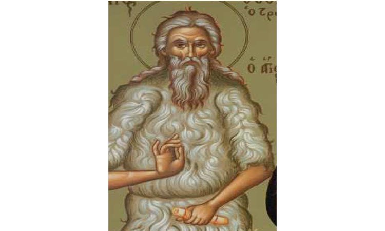 Ο Όσιος Θεόδωρος ο Τριχινάς