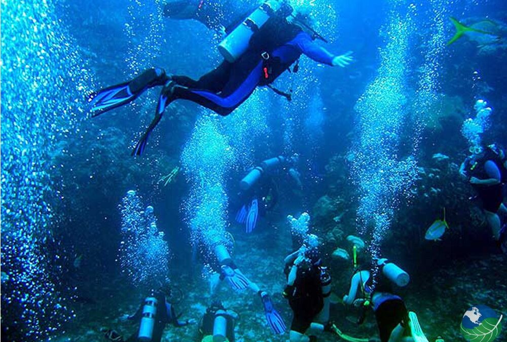 Επιστήμονας έζησε 100 μέρες υποβρύχια και επέστρεψε 10 χρόνια νεότερος  