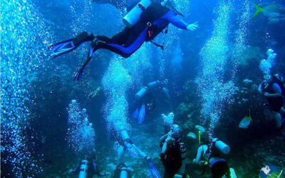 Επιστήμονας έζησε 100 μέρες υποβρύχια και επέστρεψε 10 χρόνια νεότερος  