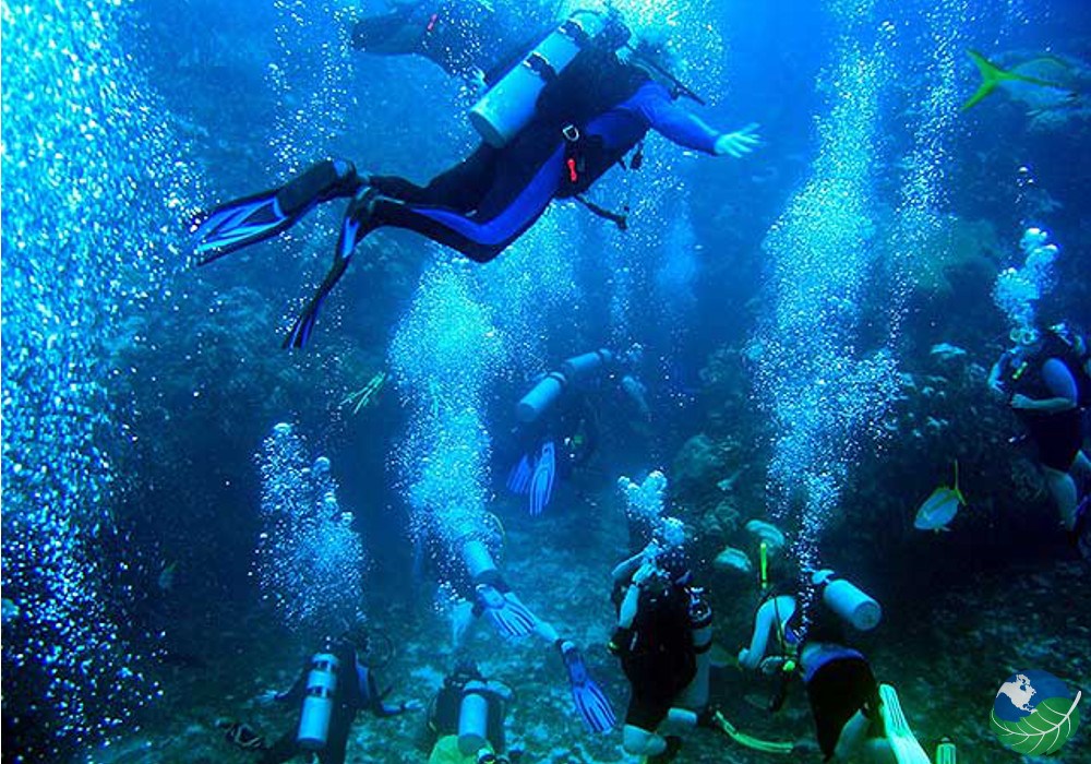 Καταδύσεις