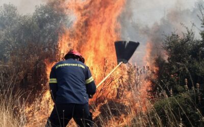 Υψηλός κίνδυνος πυρκαγιάς το Σάββατο – Συστάσεις της Πολιτικής Προστασίας