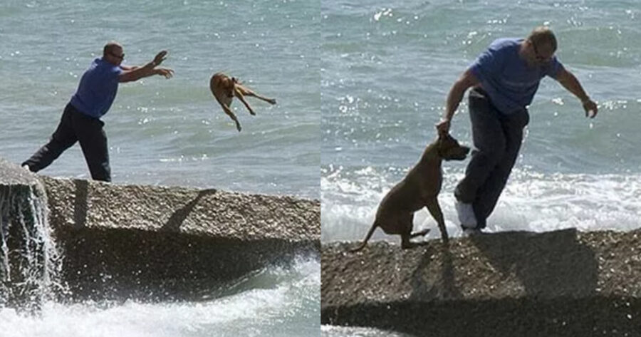 Αποτρόπαιο περιστατικό: Κάμερα κατέγραψε ιδιοκτήτη να πετάει τον σκύλο του στην θάλασσα