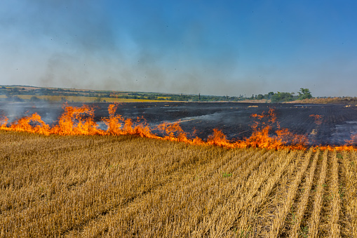 ΑΠΟΖΗΜΙΩΣΕΙΣ ΣΕ ΠΥΡΟΠΛΗΚΤΟΥΣ ΑΓΡΟΤΕΣ ΚΑΙ ΚΤΗΝΟΤΡΟΦΟΥΣ