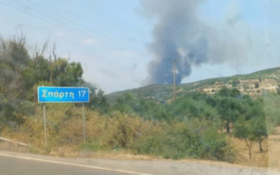 Φωτιά τώρα στη Λακωνία – Μεγάλη κινητοποίηση της πυροσβεστικής