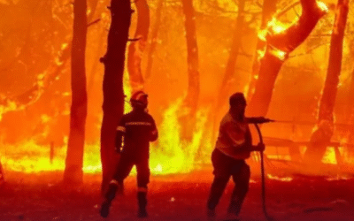 Εικονική πραγματικότητα, πολύ μακριά από αυτήν την ζοφερή που βιώνουμε όλοι (και) τις τελευταίες ημέρες, μεταφέρουν τα λεγόμενα συστημικά Μέσα Μαζικής Ενημέρωσης, τα οποία φαίνεται να συμφωνούν απόλυτα στο ότι για τις καταστροφικές πυρκαγιές φταίνε όλα τα άλλα εκτός από την κυβέρνηση…