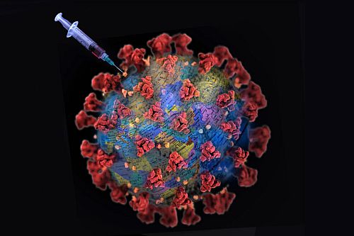 Θνησιμότητα που σχετίζεται με το εμβόλιο για την COVID-19 στο Νότιο Ημισφαίριο