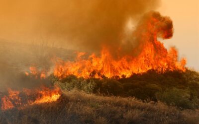 ΟΙ ΠΥΡΚΑΓΙΈΣ ΚΑΙ Η ΑΠΏΛΕΙΑ ΤΗΣ ΕΘΝΙΚΉΣ ΚΥΡΙΑΡΧΊΑΣΣτην Αλεξανδρούπολη βλέπετε ήθελαν αμερικανική βάση και έχασαν από την πυρκαγιά το 60% των ελαιοδένδρων συν της μελισσοκομίας, ενώ την ίδια ώρα ο Μητσοτάκης ονειρεύεται πράσινη ενέργεια και “πράσινα άλογα”, αλλά και ηλεκτρονικές ταυτότητες με κατάργηση του χρήματος, την ίδια ώρα που δεν θα έχουμε να φάμε ούτε λάδι!!! Μάλιστα για να μην δώσει αποζημίωση η κυβέρνηση στους αγρότες με τις ΚΑΜΈΝΕΣ ΠΕΡΙΟΧΈΣ και Ελιές, τους λέει να βγάλουν από την ρίζα τις ελιές και το 2024, μπορεί να πάρουν μία μικρή αποζημίωση, όταν τα έξοδα για να βγάλουν τις ελιές οι αγρότες, είναι πολύ περισσότερο από τα έσοδα των δήθεν αποζημιώσεων που θα λάβουν, εάν τα λάβουν. Δηλαδή μας εμπαίζουν προκειμένου να κλέψουν τις αγροτικές εκτάσεις…