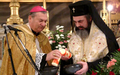 ΟΙ ΚΟΛΥΜΠΑΡΙΣΤΈΣ ΤΕΛΟΎΝ ΜΙΚΤΟΎΣ ΓΆΜΟΥΣ ΜΕ ΤΟΥΣ ΑΙΡΕΤΙΚΟΎΣ ΚΑΙ ΑΡΝΟΎΝΤΑΙ ΤΙΣ ΟΙΚΟΥΜΕΝΙΚΈΣ ΣΥΝΌΔΟΥΣ