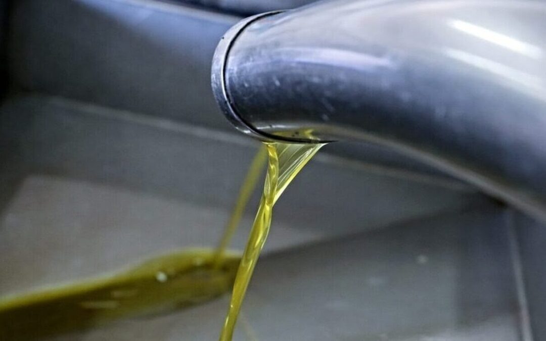 Αγροτικές πληρωμές ΟΠΕΚΕΠΕ: Ξεκίνησαν με.. μεγάλο “ψαλίδι”