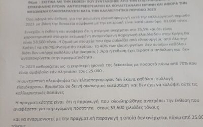 Κρήτη: Τεράστιες αποκλίσεις στα ποσοστά ακαρπίας στις ελιές- Άλλα λένε οι επιστήμονες και άλλα οι αγρότες