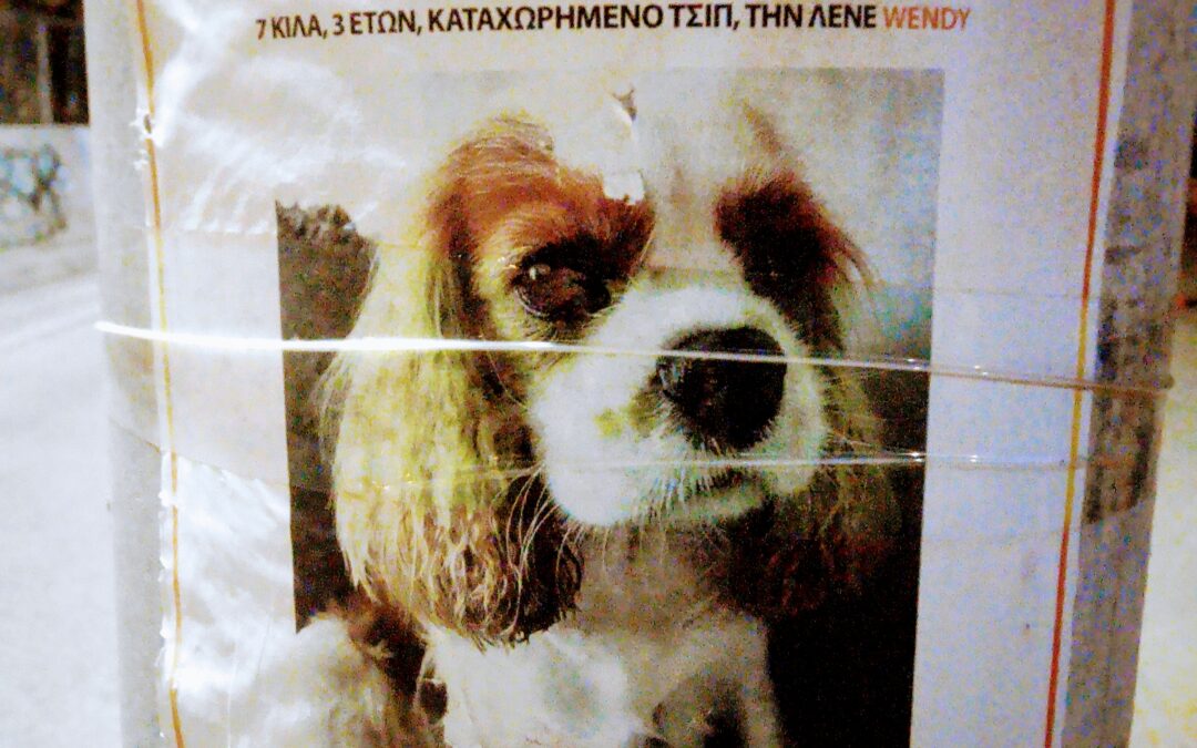 ΜΙΚΡΟΤΣΊΠ ΣΤΑ ΖΏΑ: ΓΙΑΤΊ ΤΣΙΠΆΡΟΥΝ ΤΑ ΖΏΑ – ΑΦΟΎ ΔΕΝ ΤΑ ΒΡΊΣΚΟΥΝ ΌΤΑΝ ΧΑΘΟΎΝ;