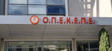Για τα μάτια» της Ε.Ε. ο ΟΠΕΚΕΠΕ εξόφλησε την τελευταία δόση των επιδοτήσεων του 2023, την 1η Ιουλίου