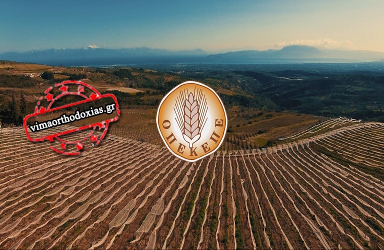 ΑΓΡΟΤΙΚΆ ΝΈΑ: ΠΛΗΡΩΜΈΣ ΟΠΕΚΕΠΕ