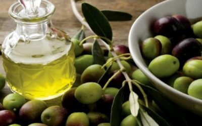 Κώστας Τσιάρας: Μέχρι τέλος Οκτωβρίου θα καταβληθεί το 70% της Βασικής από τον ΟΠΕΚΕΠΕ