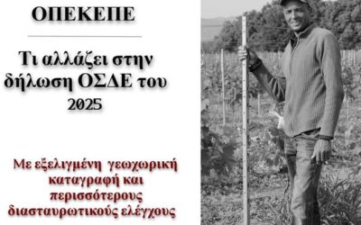 Ο ΟΠΕΚΕΠΕ εξέδωσε νέες κατευθυντήριες γραμμές σχετικά με την υποβολή, τις τροποποιήσεις και τις αποσύρσεις της Ενιαίας Αίτησης Ενίσχυσης (ΕΑΕ), δίνοντας ιδιαίτερη έμφαση στις διαδικασίες που αφορούν ενοικιαστήρια για μη ιδιόκτητα αγροτεμάχια. Οι αλλαγές αποσκοπούν στη διαφάνεια και στη βελτίωση της διαχείρισης των ενισχύσεων.