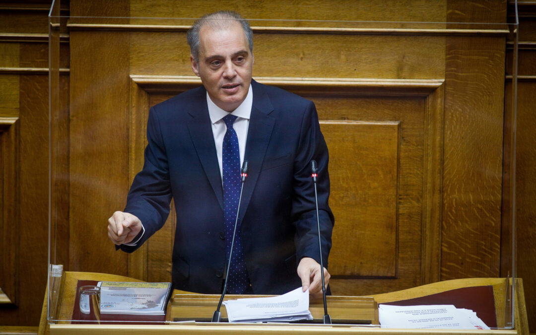 Απελάσεις Παράνομων μεταναστών, επερώτηση Βελόπουλου το 2024