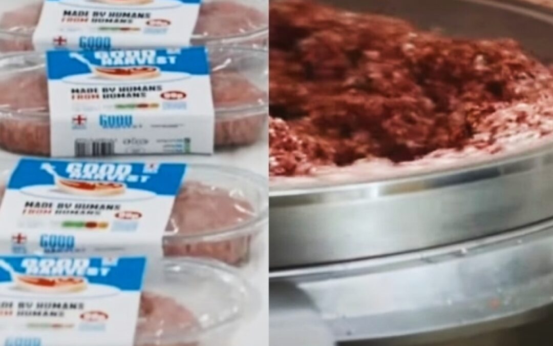 Διαφήμιση KFC Με Ανθρώπινο Κρέας: Το «All Hail Gravy» κατηγορίες για κανιβαλισμό και Βλασφημία