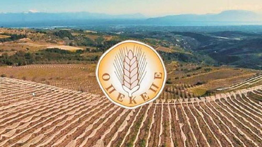 Σύζυγος πρώην αντιπροέδρου του ΟΠΕΚΕΠΕ έπαιρνε 120.000 ευρώ ετησίως για…