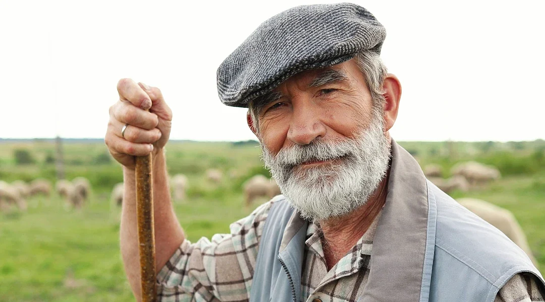 Σύλληψη κτηνοτρόφων επειδή βοσκούσαν πρόβατα αλλά το ΥπΑΑΤ δεν έχει πληρώσει τις ζωοτροφές για να τα ταΐσουν