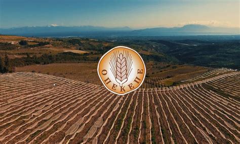 ΟΠΕΚΕΠΕ: ανακοίνωση αποτελεσμάτων