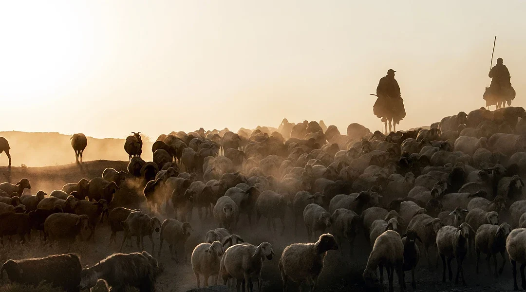 Πληρωμή 20 εκ. ευρώ για αποζημιώσεις σε κτηνοτρόφους λόγω ευλογιάς και θέλουμε να αποφύγουμε το lockdown, λέει ο Τσιάρας