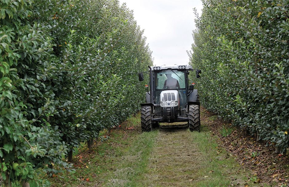 Η τελευταία καταβολή βασικής με δικαιώματα το 2025, αυξήσεις ως 7 ευρώ