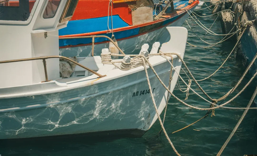 Tα εύσημα των FT στους ψαράδες της Αμοργού: Το σχέδιό τους που μπορεί να σώσει τη Μεσόγειο από την υπεραλίευση