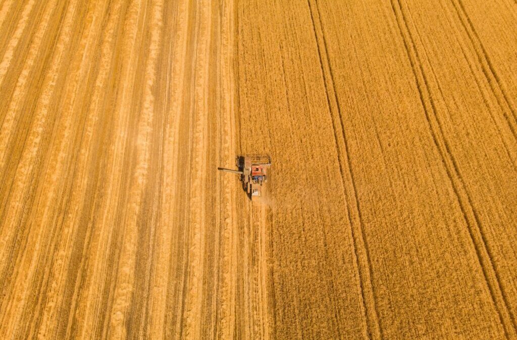 ΟΠΕΚΕΠΕ: Ποιοι δεν θα πάρουν προκαταβολές