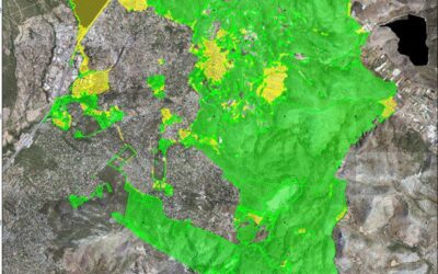 ΓΕΝ.ΔΙΕΥΘ. ΔΑΣΏΝ: ΕΓΚΎΚΛΙΟΣ ΝΑ ΞΕΜΠΛΟΚΆΡΟΥΝ ΟΙ ΕΚΤΆΣΕΙΣ ΠΟΥ ΚΕΡΔΊΖΟΥΝ ΤΙΣ ΑΝΤΙΡΡΉΣΕΙΣ