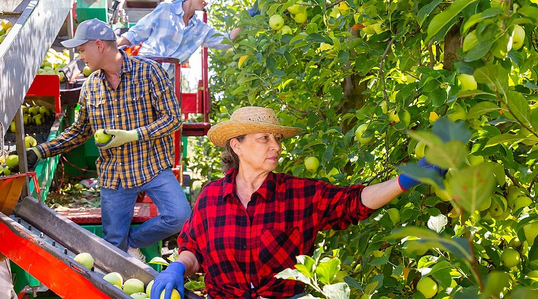 Τι ισχύει για το εργόσημο των εργατών γης και τι θα πρέπει να προσέξουν οι αγρότες