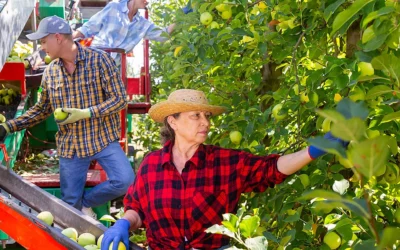 Τι ισχύει για το εργόσημο των εργατών γης και τι θα πρέπει να προσέξουν οι αγρότες