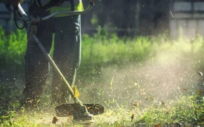 Καθαρισμός οικοπέδων: Τι προβλέπει η νέα ΚΥΑ ΥΠ/1157/2026