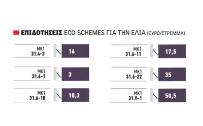 Τα 70 ευρώ το στρέμμα από οικοσχήματα δίνει φέτος για πρώτη φορά η ελαιοκαλλιέργεια με χρήση τριών δρόμων