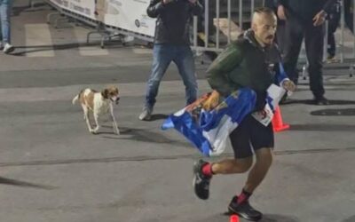 Σπάρταθλον 2026: Η σκυλίτσα που ακολούθησε αθλητή για περίπου 100 χιλιόμετρα μέχρι τη Σπάρτη (video)
